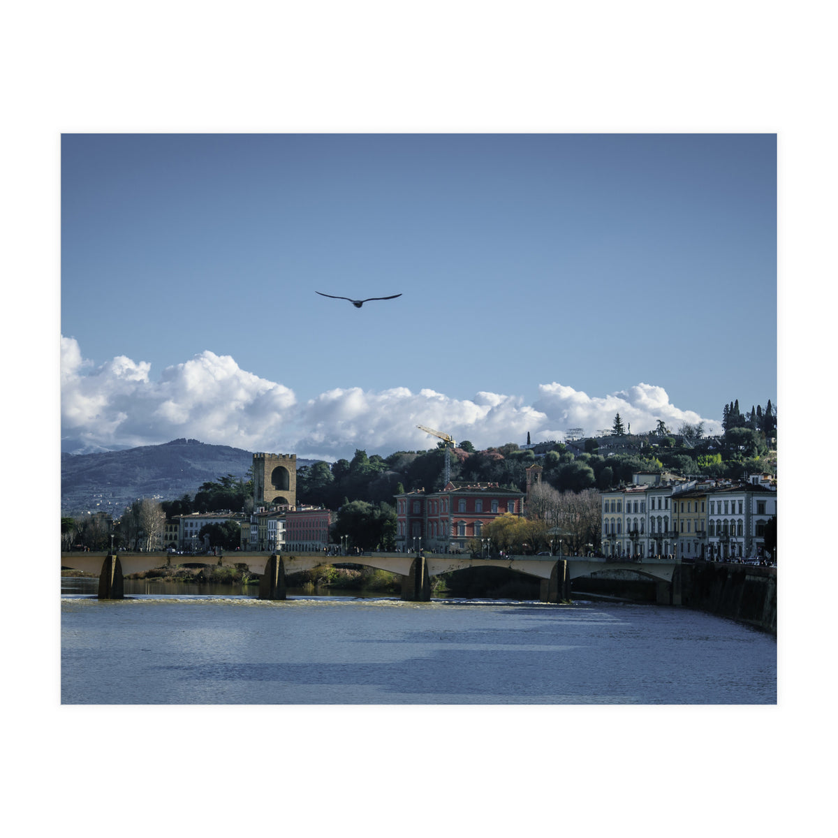Volare A Firenze (Print Only)