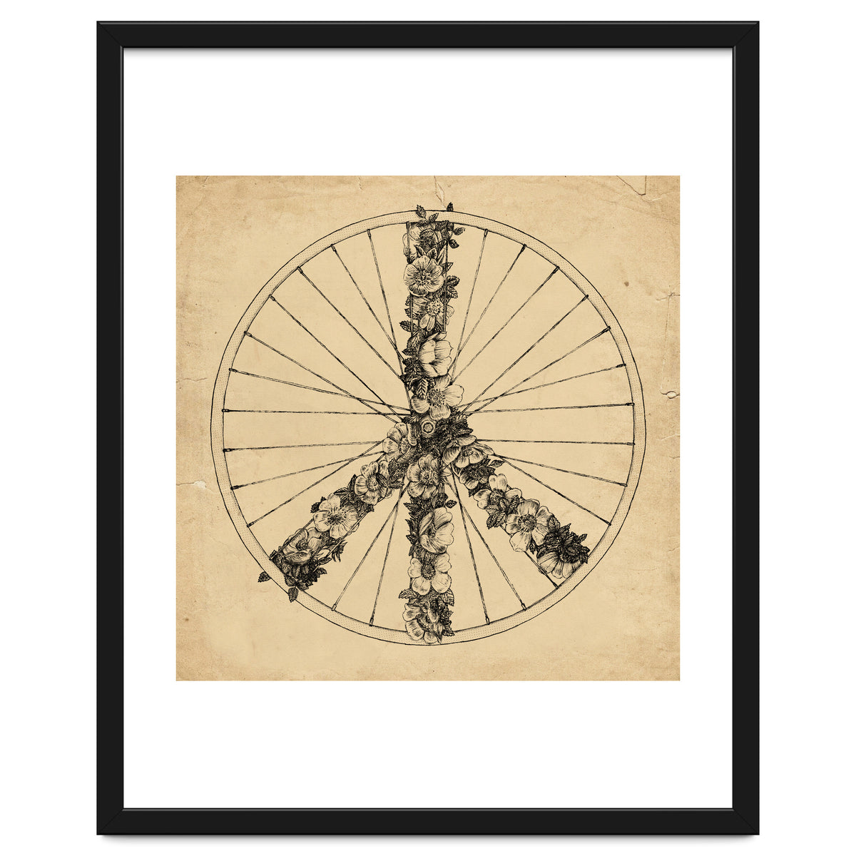 Peace And Bike Lines