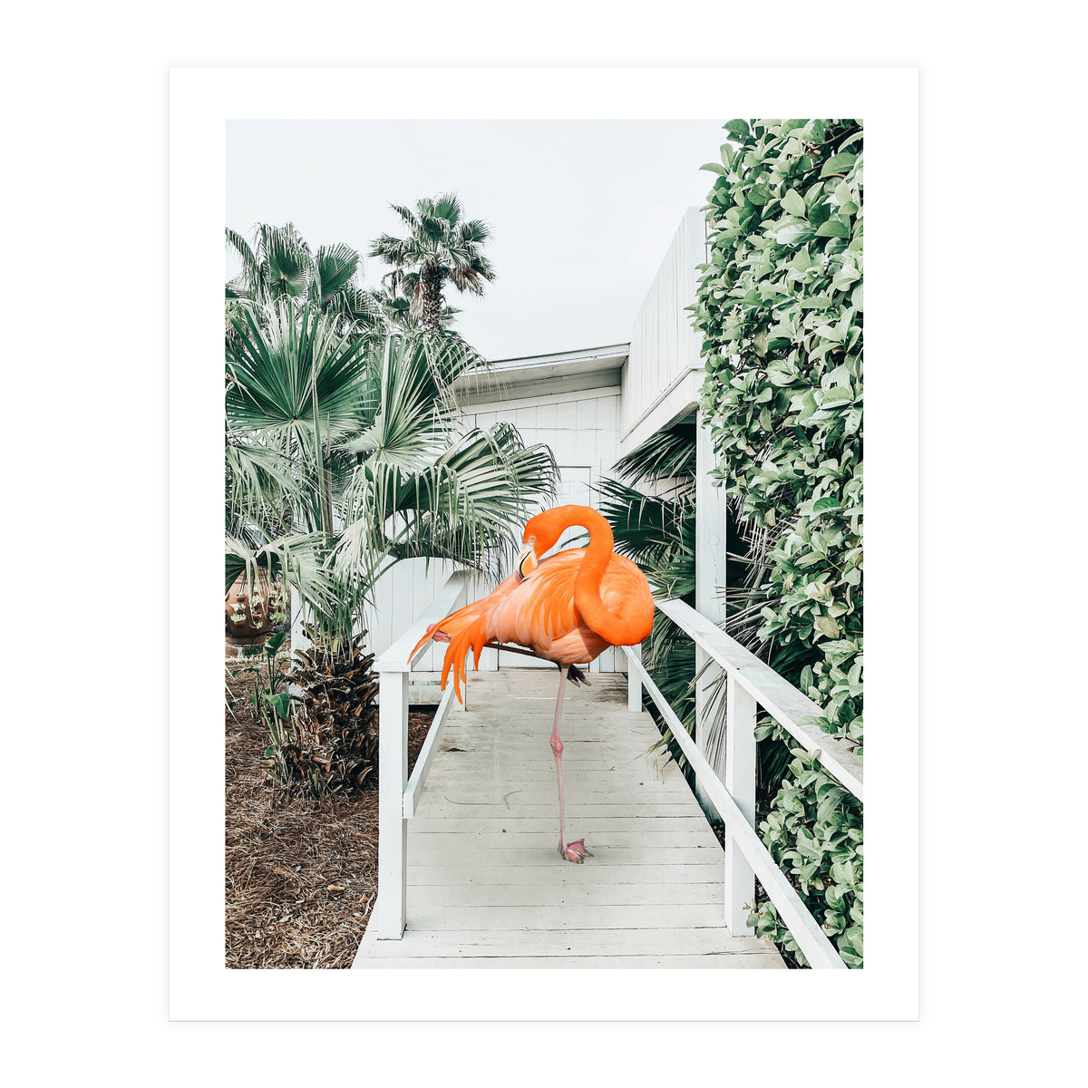 Flamingo Beach House (Print Only)