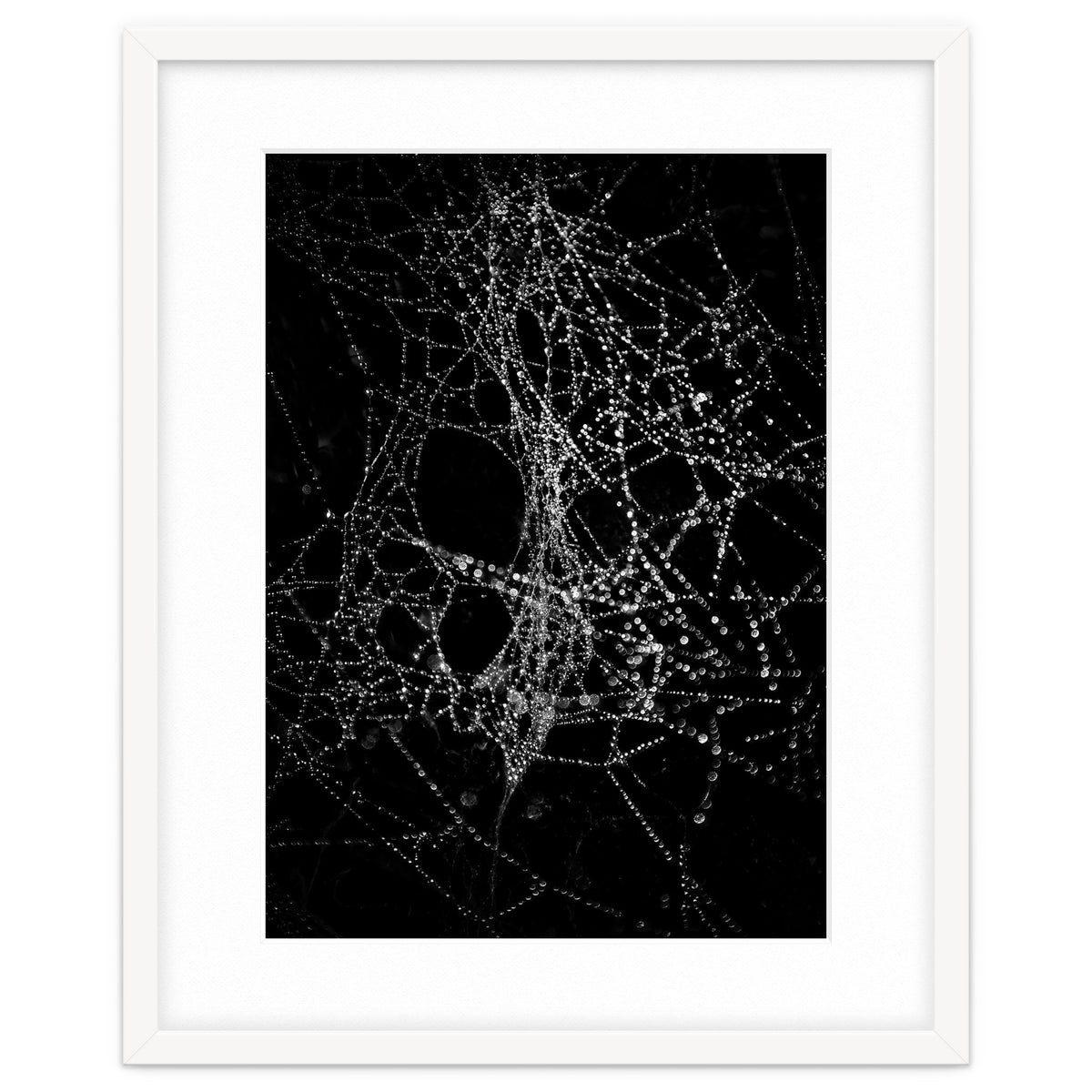 Spiderweb No 4