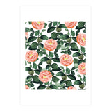 Josephine | Vintage Rose Garden Illustration | Bohemian Botanical Floral House Plants (Print Only) thumbnail