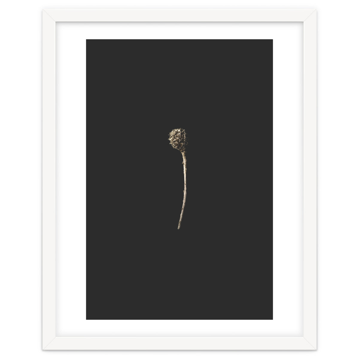 Simple Golden Botanical