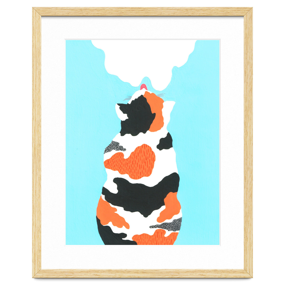 Tri Colored Calico Cat