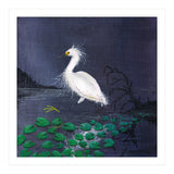 Twilight egret (Print Only) thumbnail