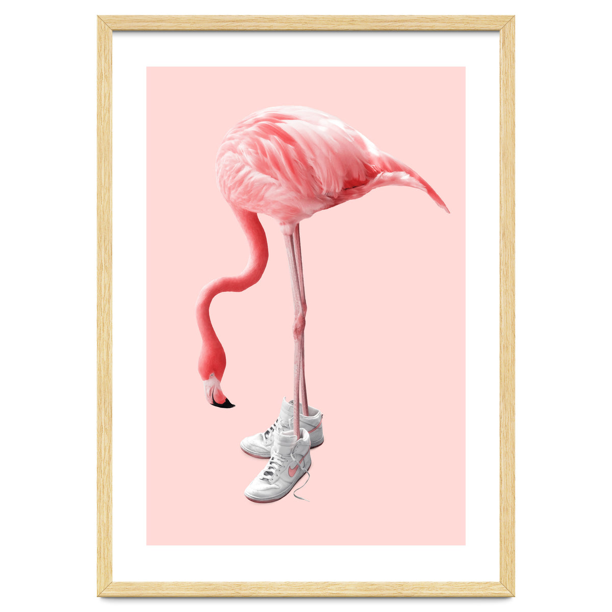 Sneaker Flamingo