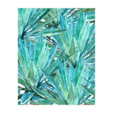 Agave  (Print Only) thumbnail