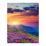 Nature (Print Only) thumbnail