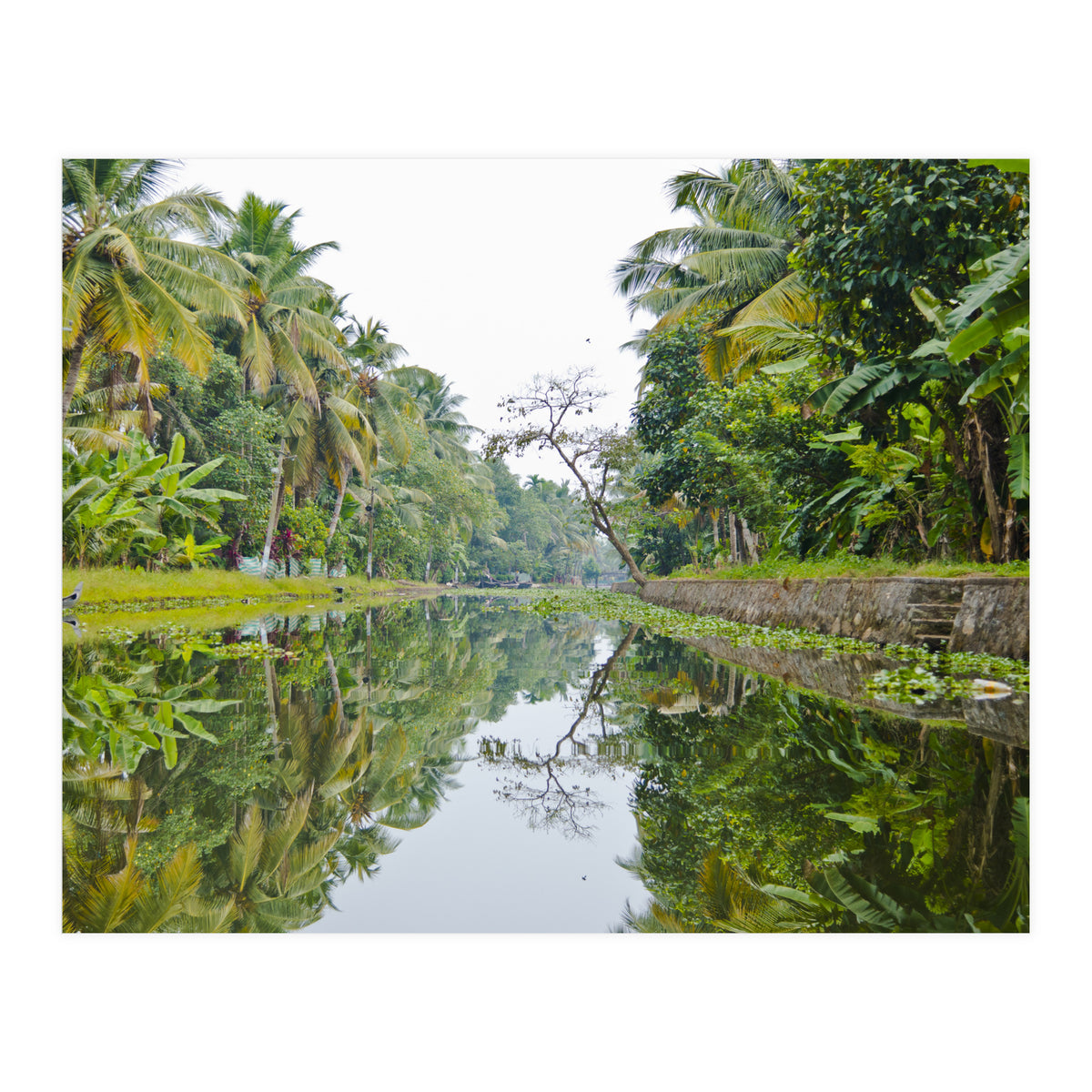 Allepey, India (Print Only)