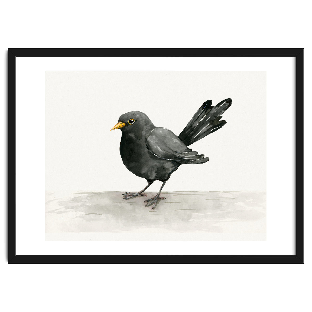 Blackbird ink drawing