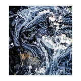 Aryaa (Print Only) thumbnail