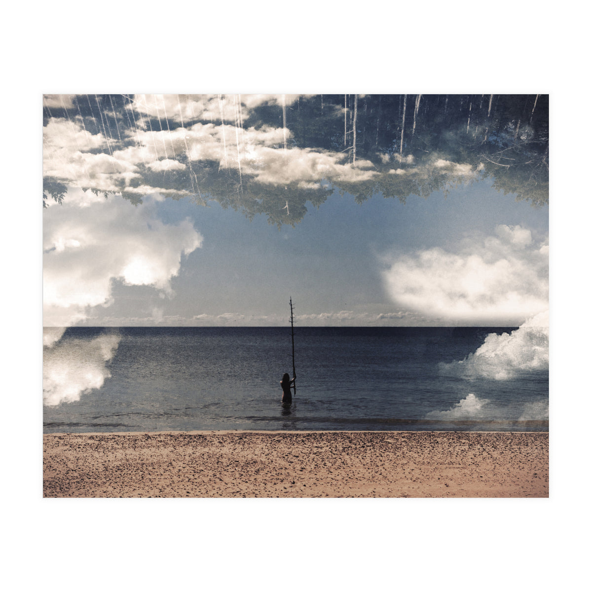 Sea the Forest (Print Only)