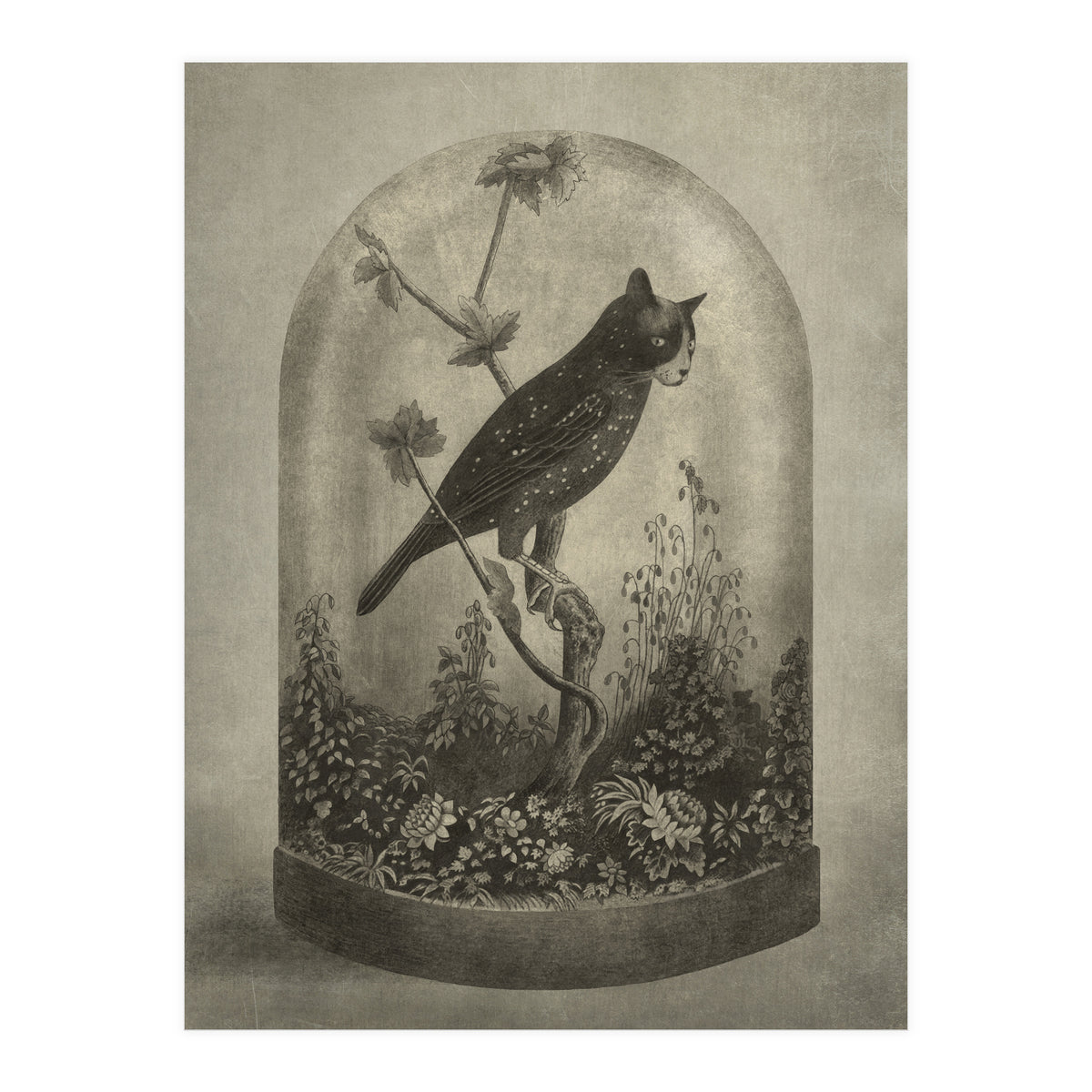 The Curiosity (Print Only)