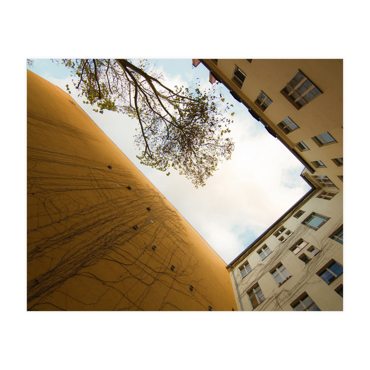 Hinterhof 74 (Print Only)