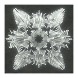 A Winged Debacle (Print Only) thumbnail