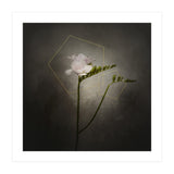 Graceful flower - Freesia | vintage style gold  (Print Only) thumbnail