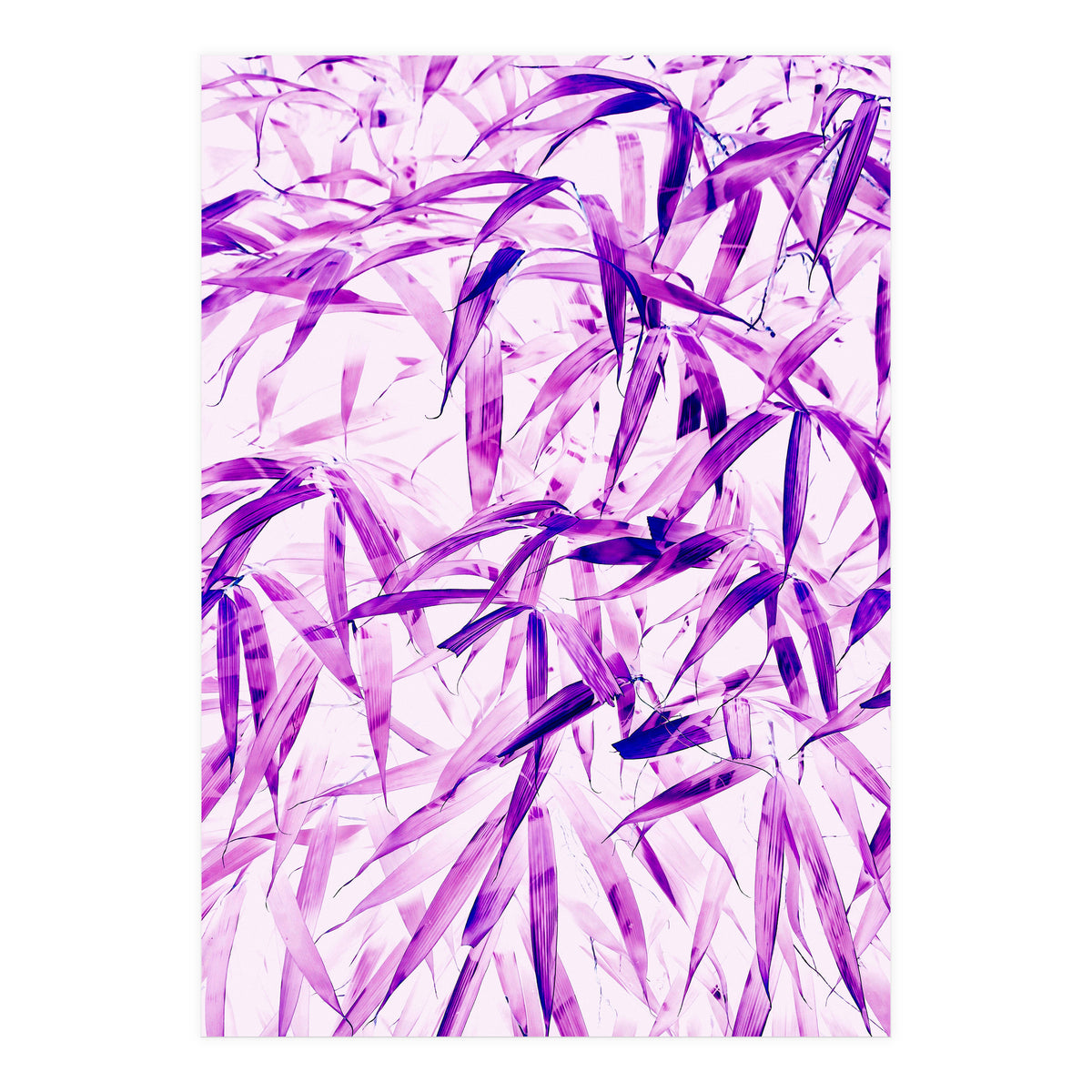 Ultra Violet (Print Only)