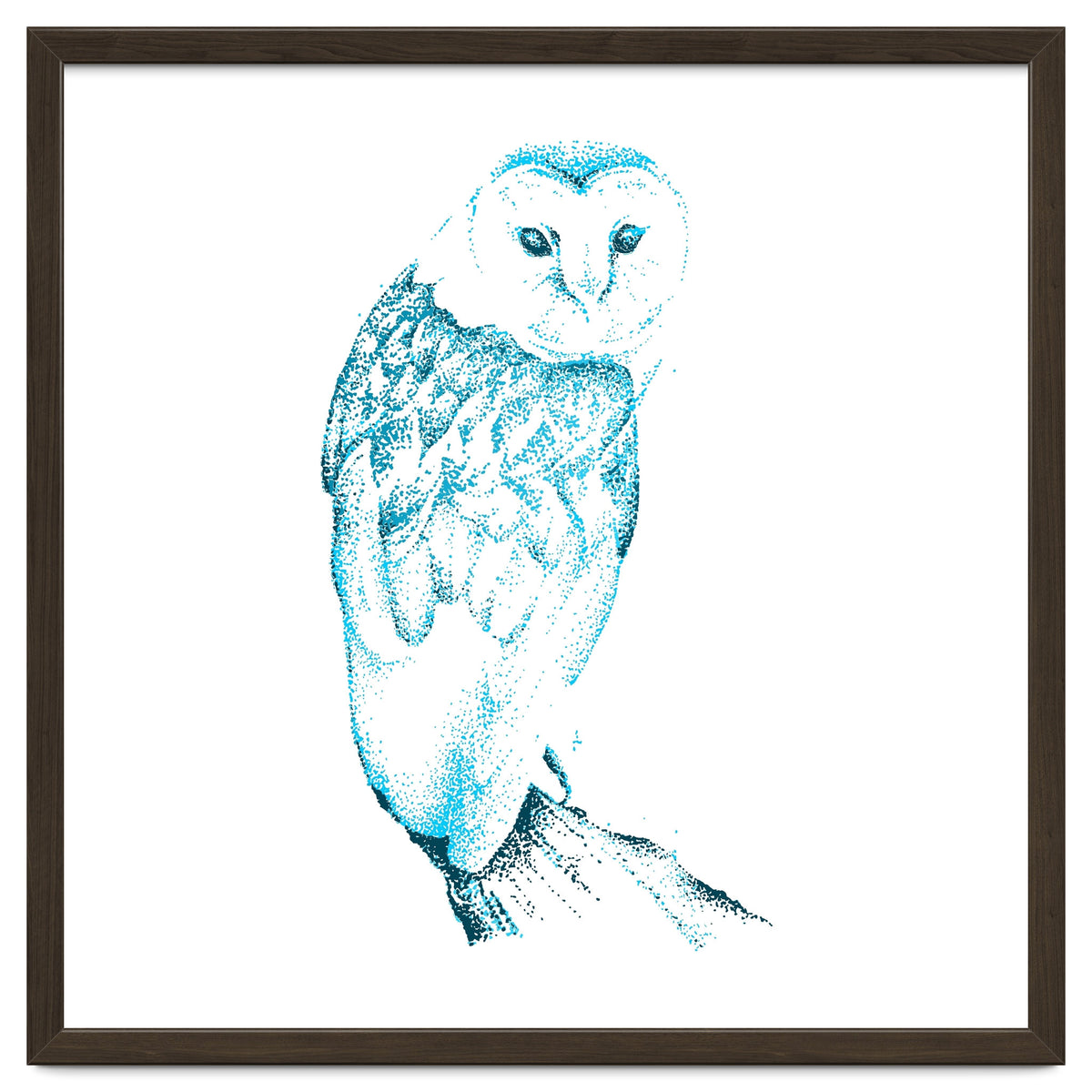 Barn Owl in Teal
