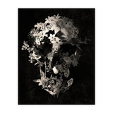Spring Skull  (Print Only) thumbnail