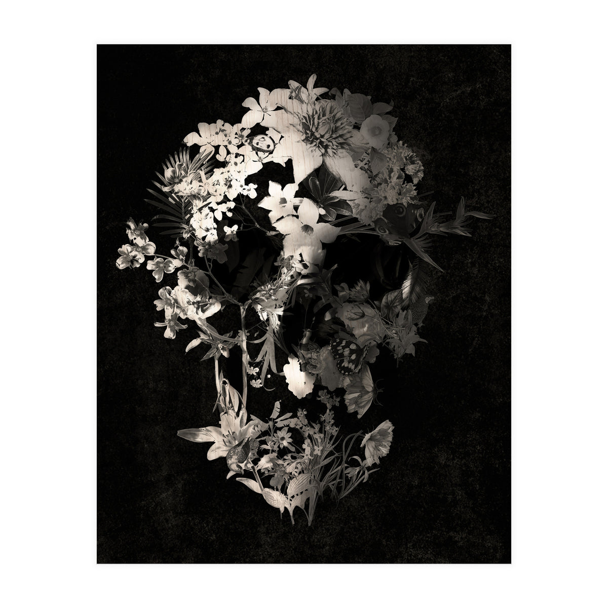 Spring Skull  (Print Only)