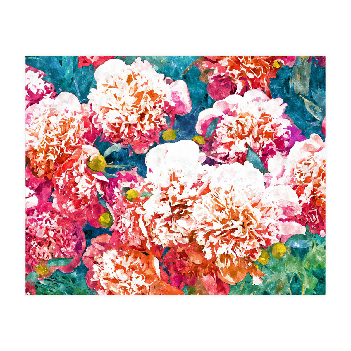 Blossoming Love (Print Only)