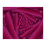 Pink Color Rose Swirl Art (Print Only) thumbnail
