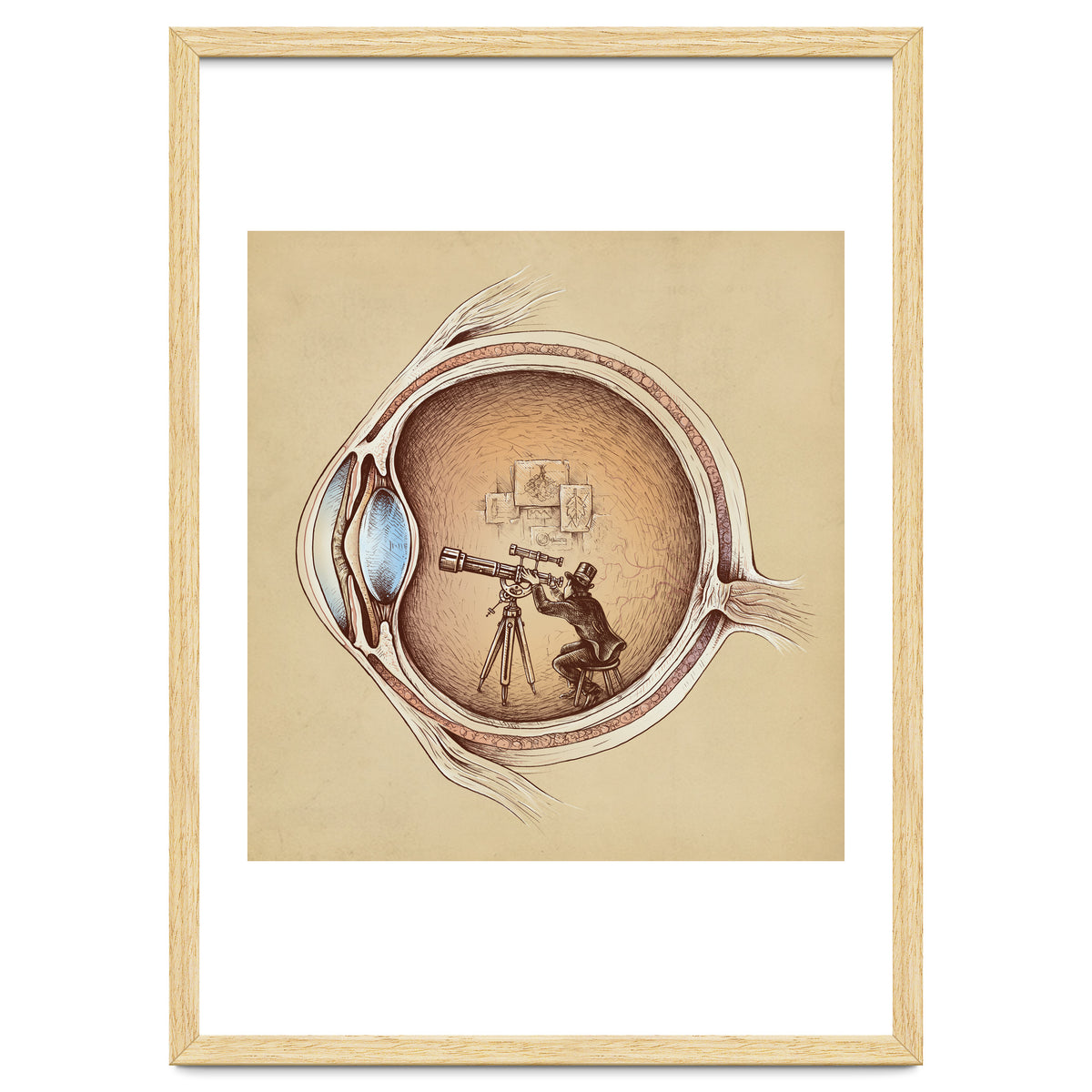 Extraordinary Observer