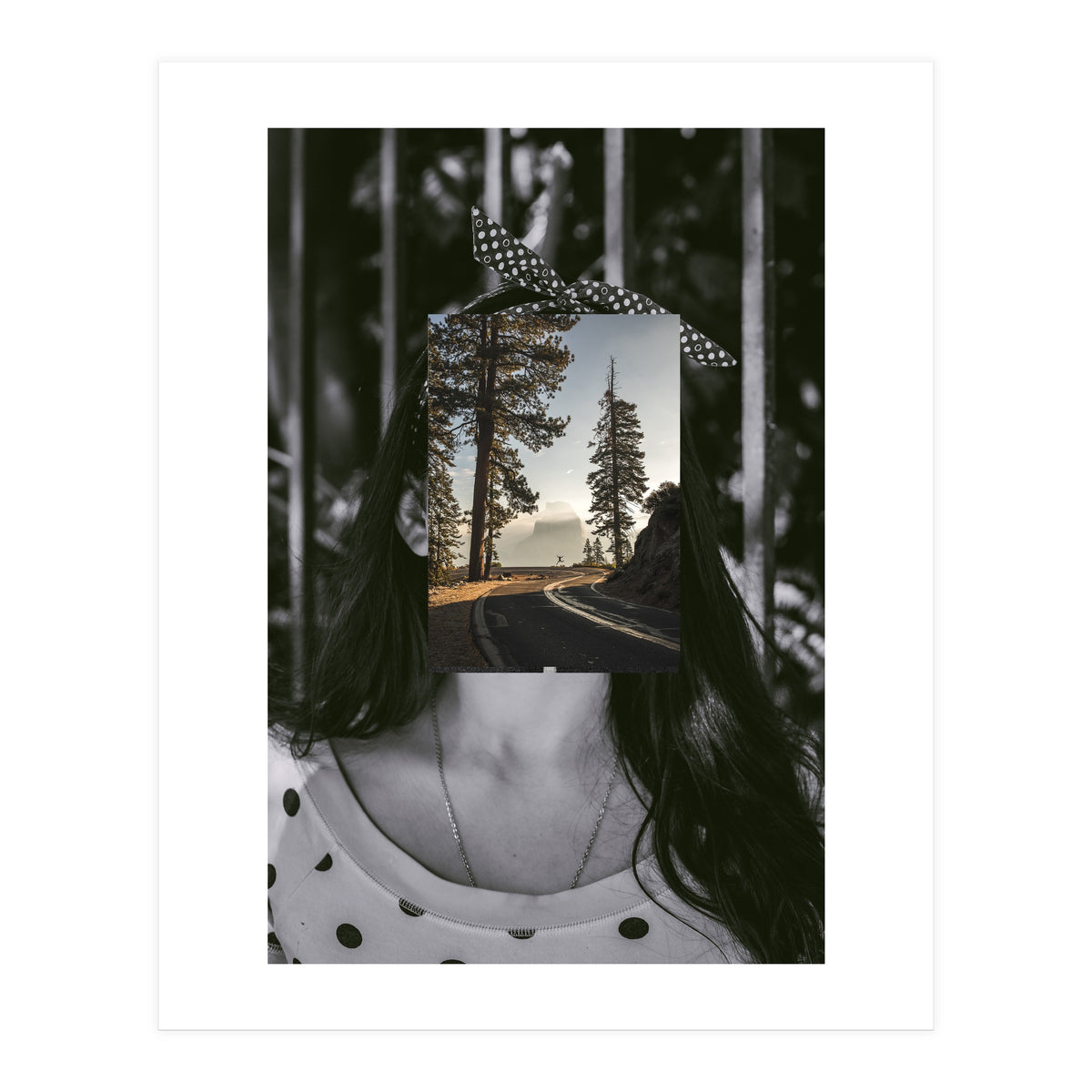 Silva Where Are You? (Print Only)