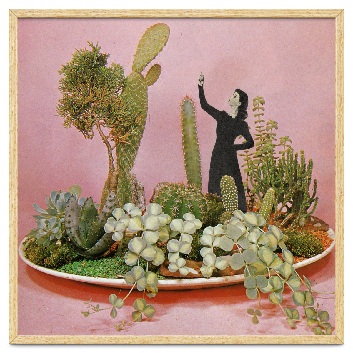 The Wonders Of Cactus Island