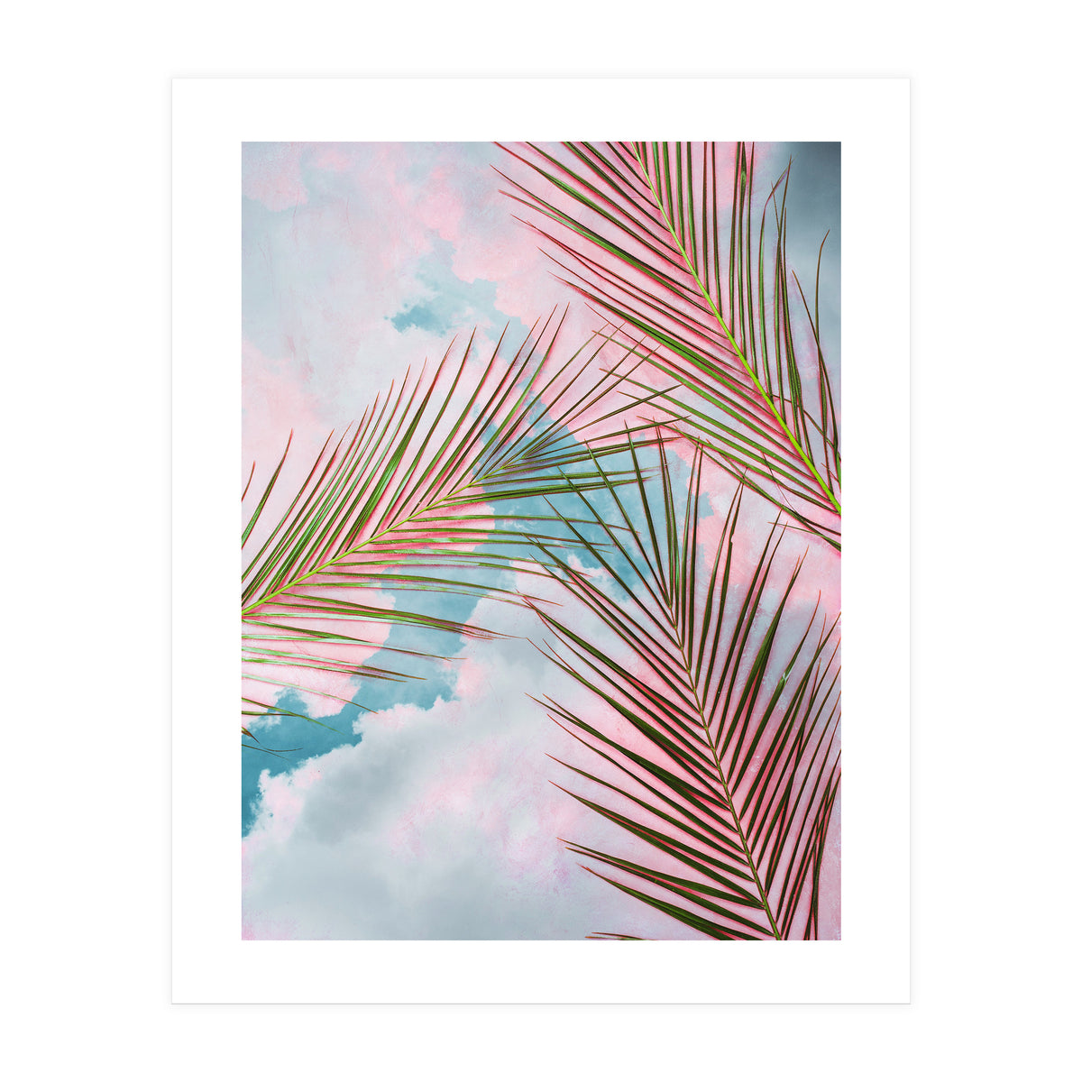 Palms + Sky (Print Only)