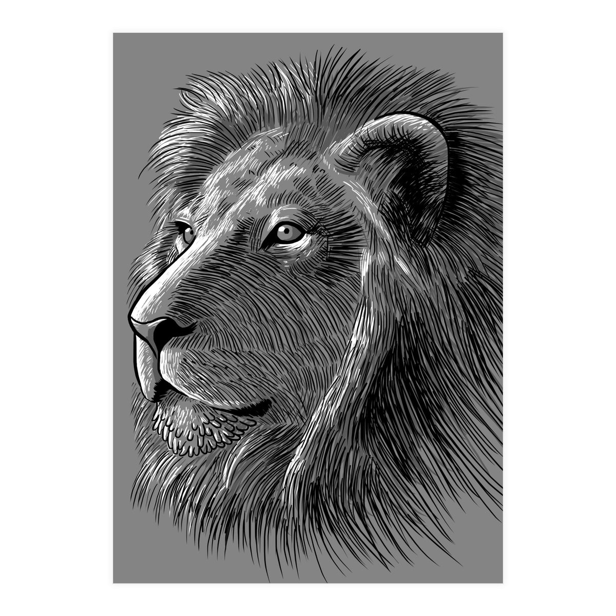 Sketch Lion (Print Only)