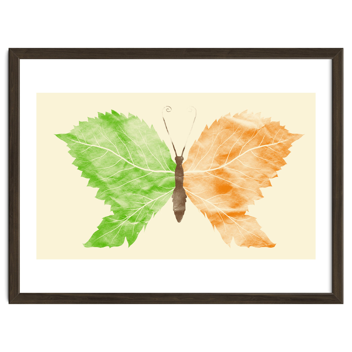 Seasons Change Time Flies