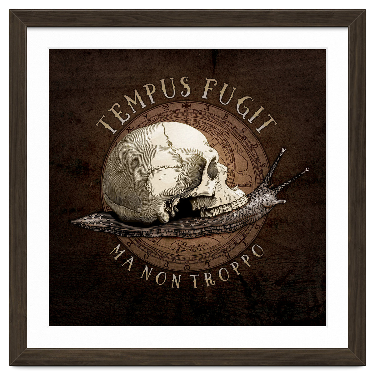 Tempus Fugit (ma non troppo)