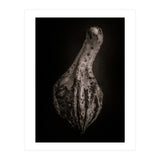 Gourds No 3 (Print Only) thumbnail