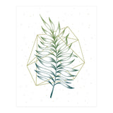 Geometry And Nature I (Print Only) thumbnail