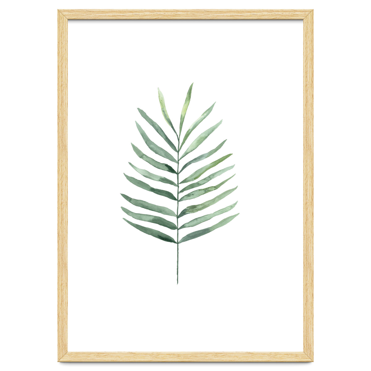Botanical Illustration Fern