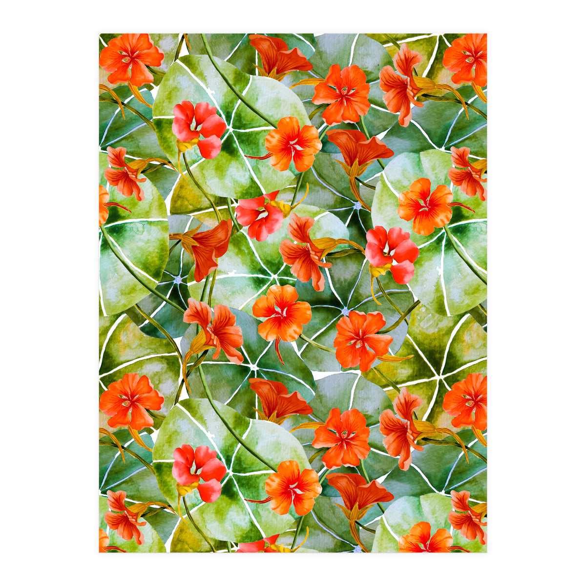 Nasturtiums watercolor 01 (Print Only)