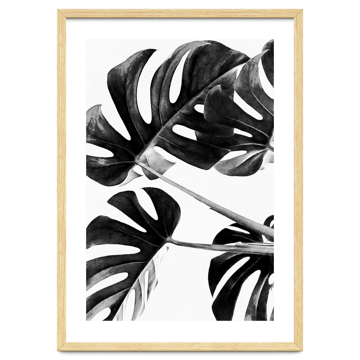 Monstera Black And White 05