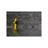 Waterworks No 1 (Print Only) thumbnail