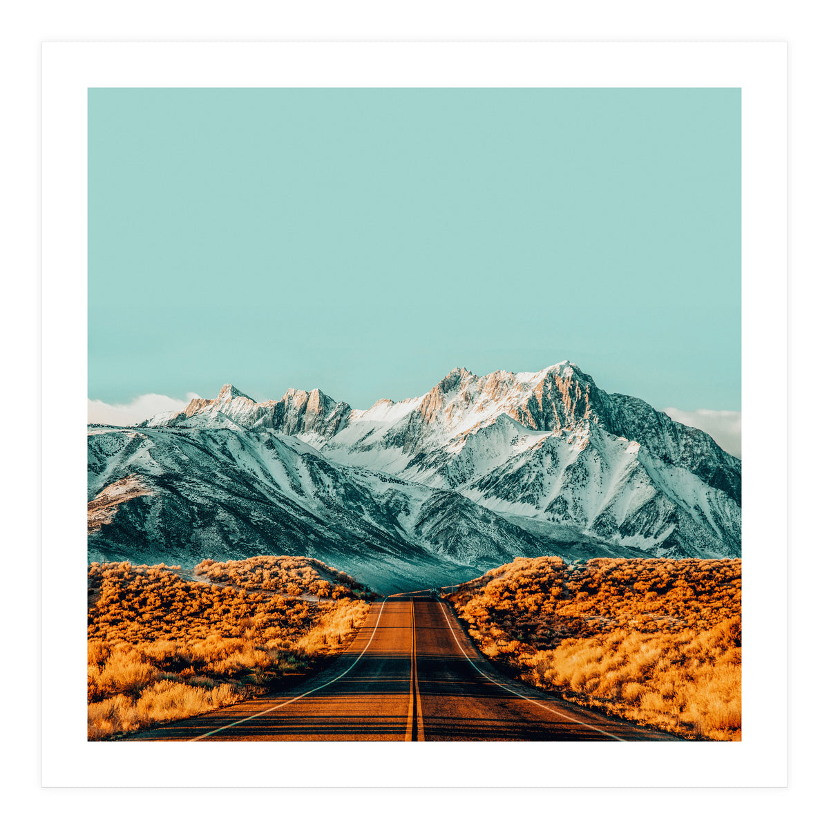 The Road Less Traveled (Print Only)