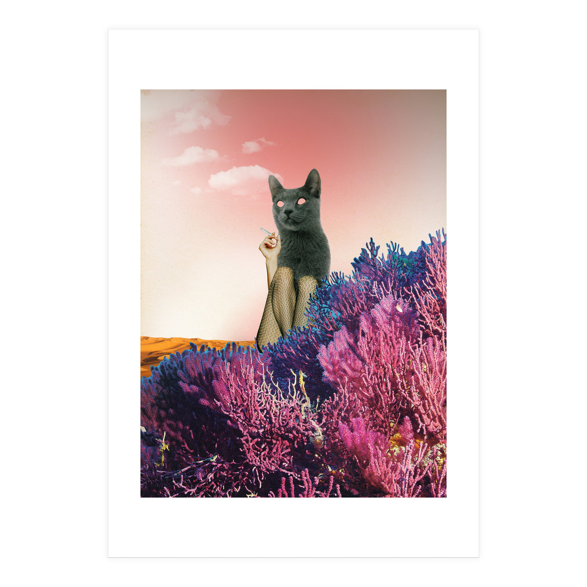 Atmosphere · The Funny Side (Print Only)