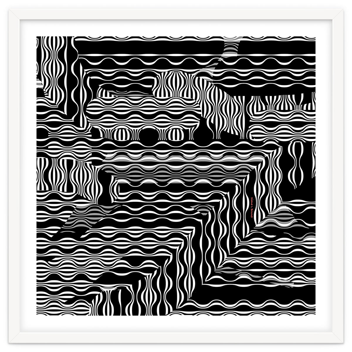 BLACK AND WHITE EXOTIC