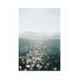 Pamlico Sparkle #1  (Print Only) thumbnail
