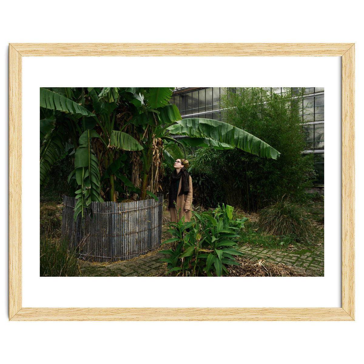 Transition from Summer to Winter