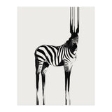 Zebra  (Print Only) thumbnail