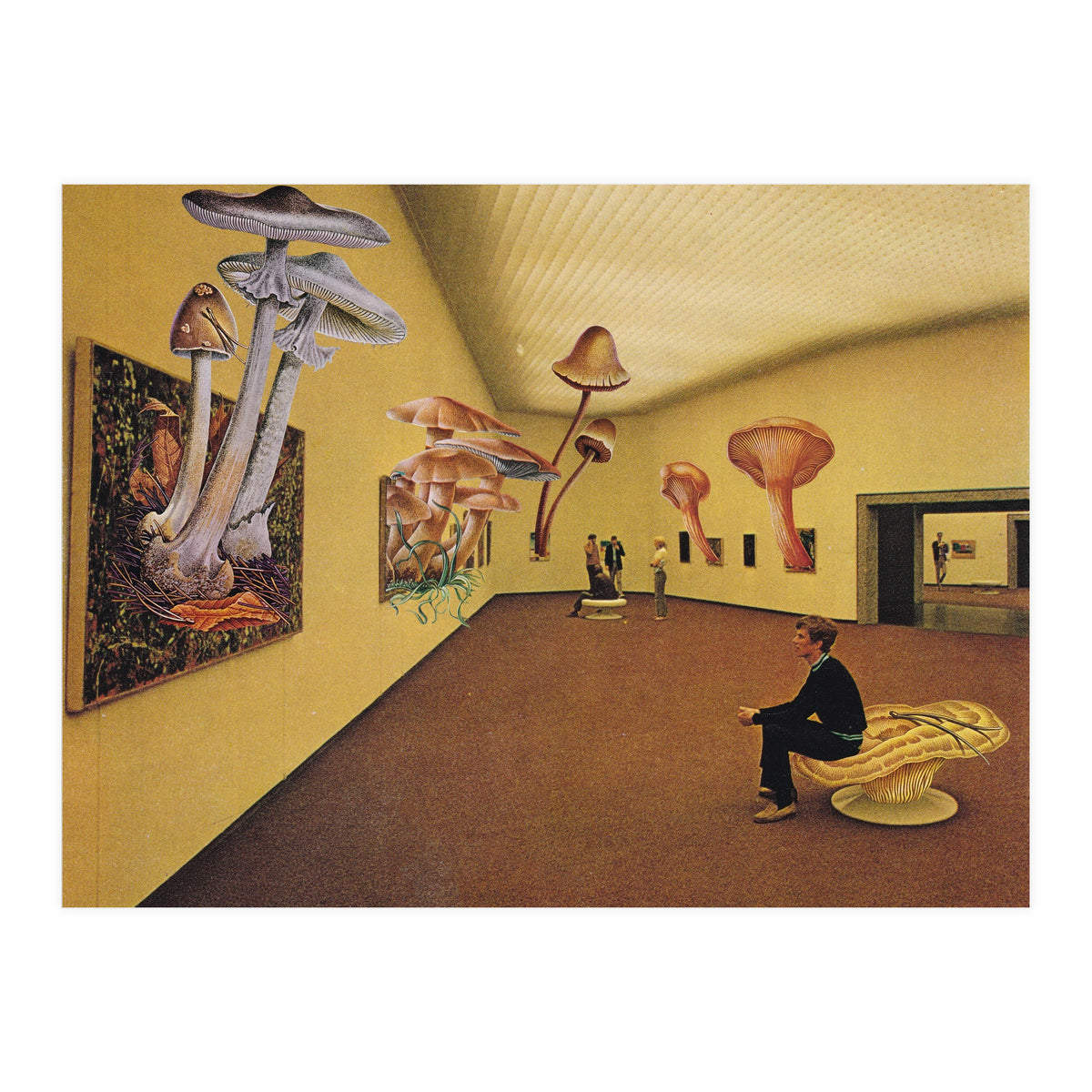 Art Gallery (Print Only)