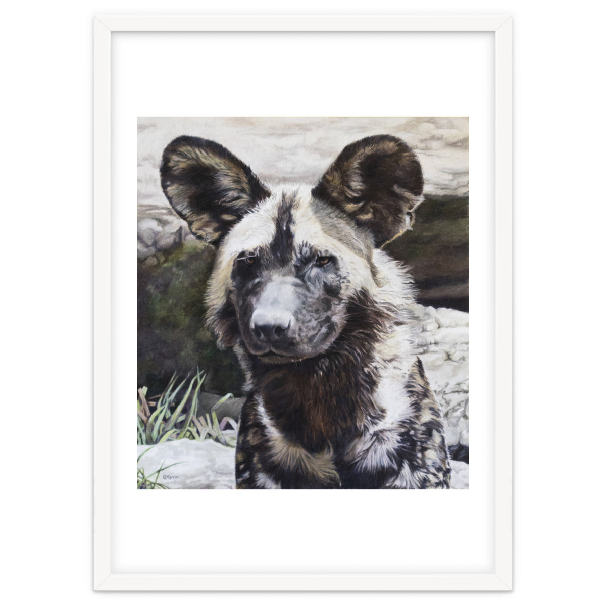 African Painted Dog II