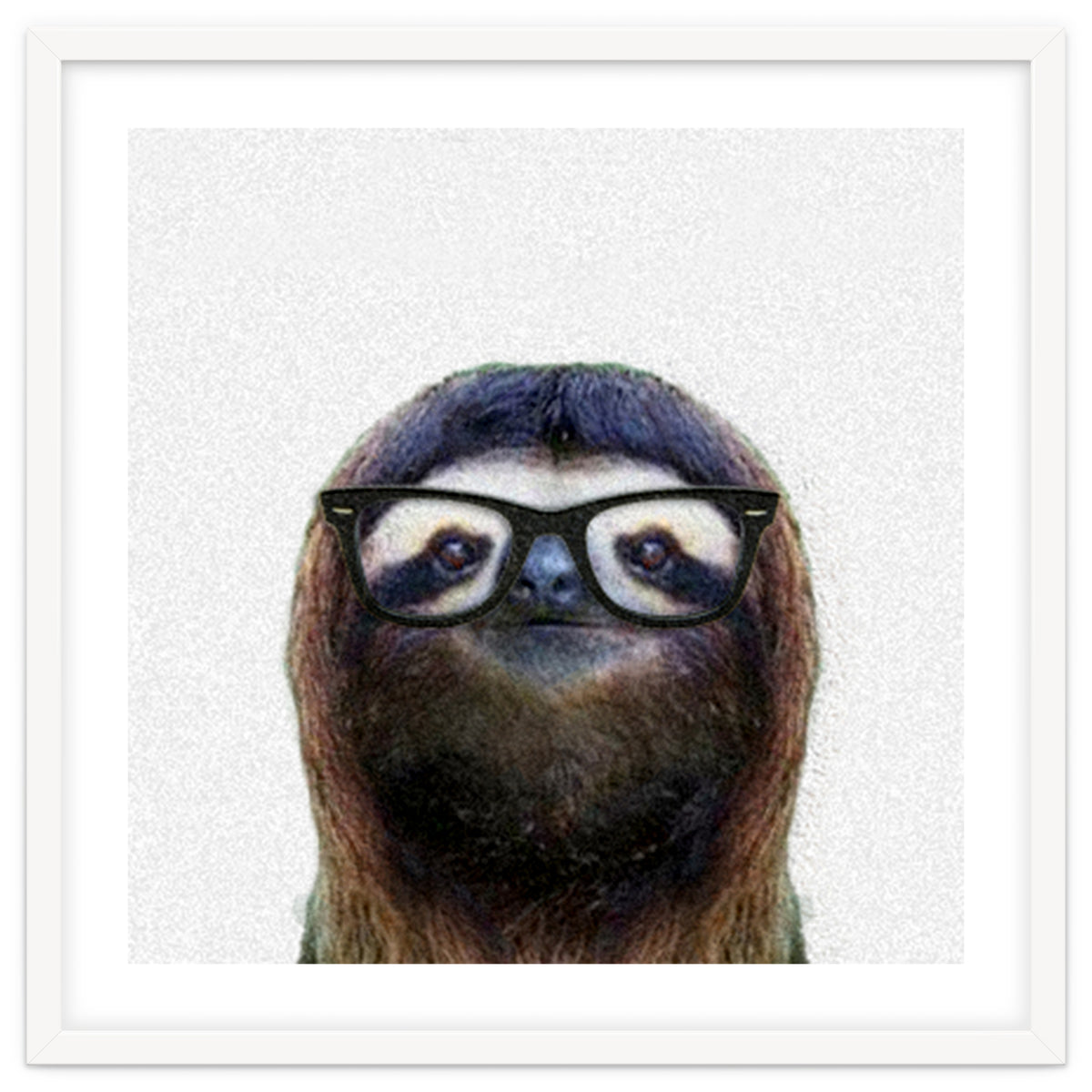 Geek Sloth