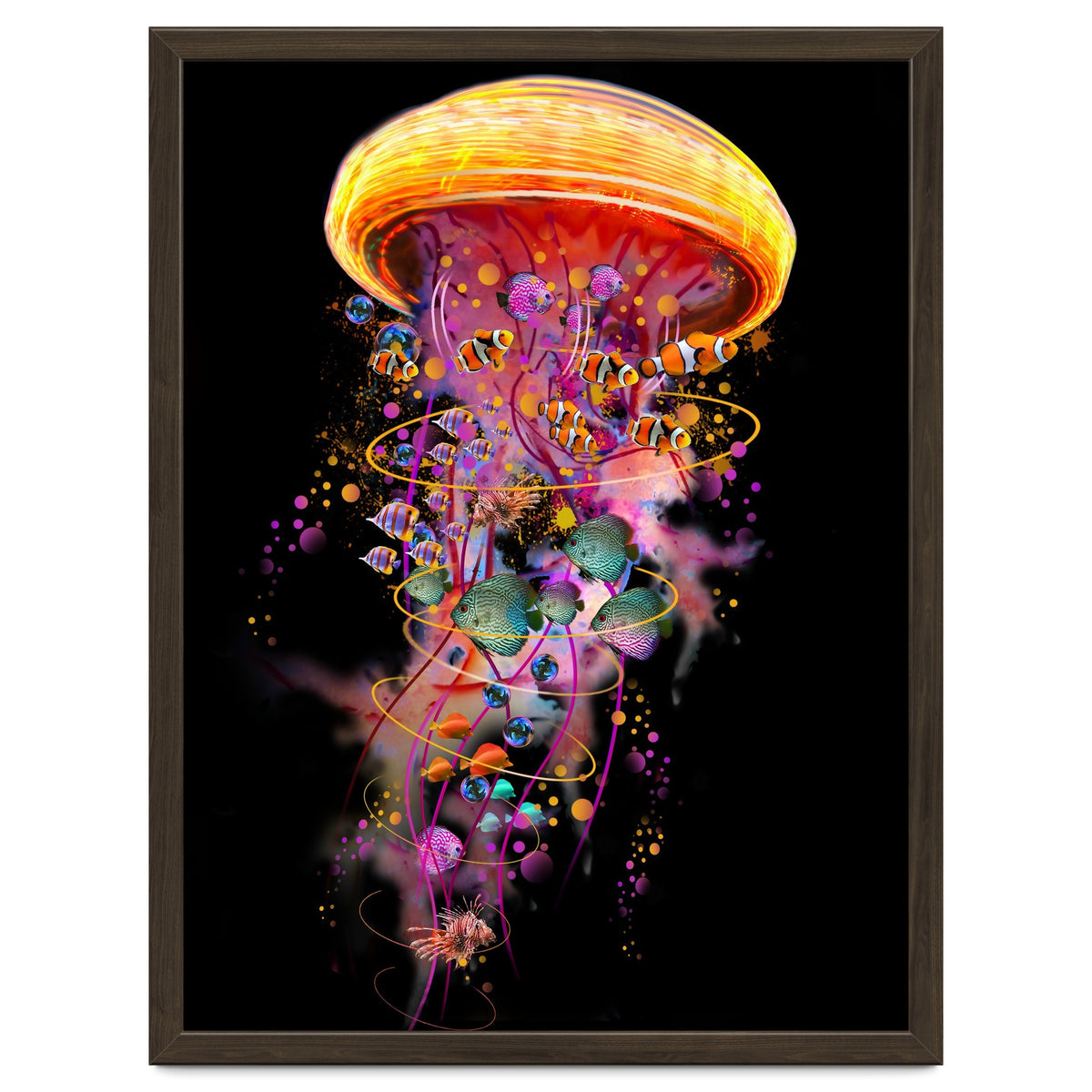 Jelly Fish Ride Summer2018 Dbh