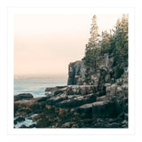Saltwater Glow (Print Only) thumbnail