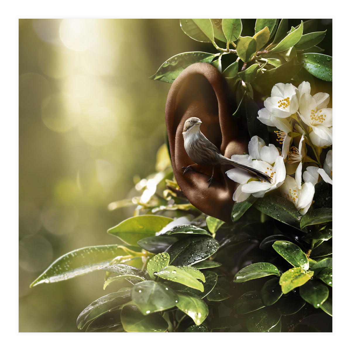 Sound Of Nature (Print Only)